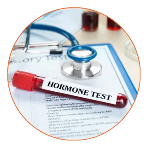 bio identical hormones gilbert bio identical hormones gilbert